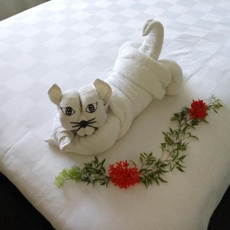 Satriya Cottages, Kuta Picture: Kitty folding towel - Check out TripAdvisor members' 24,117 candid photos and videos of Satriya Cottages Animal Towel Folding, Wash Cloth Animals, Washcloth Animals, Towel Origami, Washcloth Crafts, Folded Towels, Folding Napkins, Towel Art, Towel Display