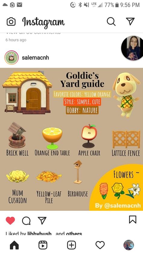 Goldie Yard Guide Acnh, Acnh Goldie Gift Guide, Bea Yard Guide Acnh, Goldie Acnh Yard, Acnh Flurry Yard Guide, Anch Villager Yard Guide, Acnh Goldie Yard, Acnh Yard Guide, Acnh Villager Yard Guide