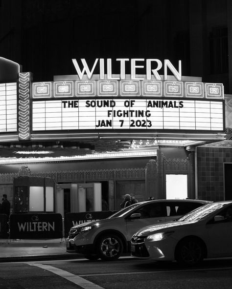 The Wiltern, music venue, concert, los angeles, stage, band Concert Venue, Music Venue, Ox, Get It, Angeles, California, Concert, Band, Lifestyle