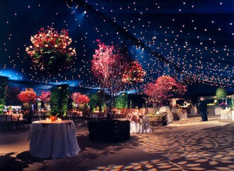 Draped Ceiling, Debut Ideas, Starry Night Wedding, Prom Theme, Boda Mexicana, Indoor Event, Event Lighting, Outdoor Event, Star Sky