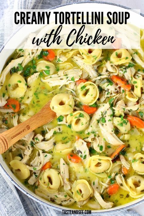 Chicken Noodle Soup Tortellini, Tortellini Chicken Soup, Tortellini Soup With Chicken, Stove Top Soup Recipes, Creamy Chicken Tortellini Soup, Tortellini Chicken, Italian Soup Recipes, Creamy Tortellini, Creamy Tortellini Soup