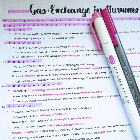 Gaseous Exchange Notes Grade 11, Gas Exchange Notes, Gaseous Exchange Notes, Gas Exchange, Bio Notes, Revision Guides, Nursing Study Guide, Revision Notes, Biology Notes