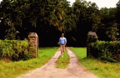 Run Forrest Gump GIF - Run ForrestGump Running - Discover & Share GIFs Running Gif, Hug Gif, Forest Gump, Martin Sheen, Rocker Girl, In Memes, Forrest Gump, Run Happy, Tom Hanks