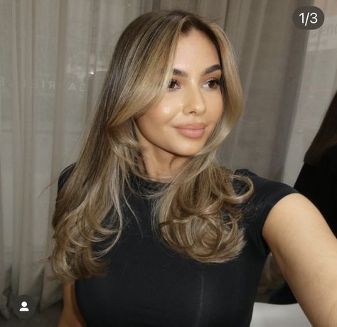 Blonde Hair On Dark Hair, Brunette With Honey Highlights, Golden Honey Blonde Hair, Caramel Brunette, Beige Blonde Balayage, Honey Highlights, Balayage Hair Caramel, Honey Brown Hair, Brown Hair Looks