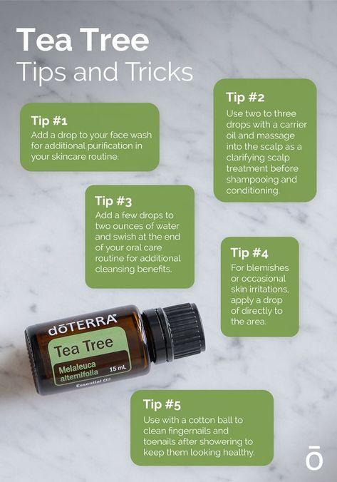 Doterra Tea Tree Oil Uses, Doterra Tea Tree Oil, Tea Tree Essential Oil Benefits, Cabin Essentials, Doterra Tea Tree, Tea Tree Oil Benefits, Tea Tree Oil Uses, Doterra Oils Recipes, Doterra Oil