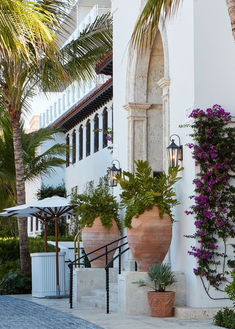 Fernando Wong Outdoor Living Design | Four Seasons Surf Club Four Seasons Surf Club, Garden Stairs, Surf Club, Outdoor Living Design, Front Door Entrance, Spanish Style Homes, Patio Landscaping, Mediterranean Style, Spanish Style