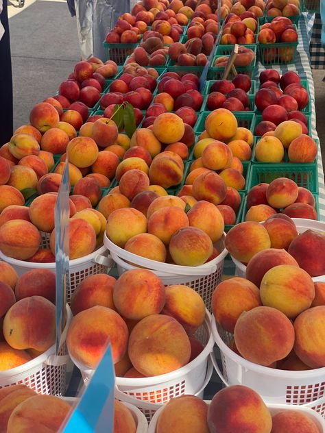 #summer #peaches #market #farmersmarket Peach Picking, Fruit Platter Designs, Fruit Market, Retail Store Display, Peach Fruit, Feeling Better, Instagram Feed Ideas, Fruit Platter, Just Peachy