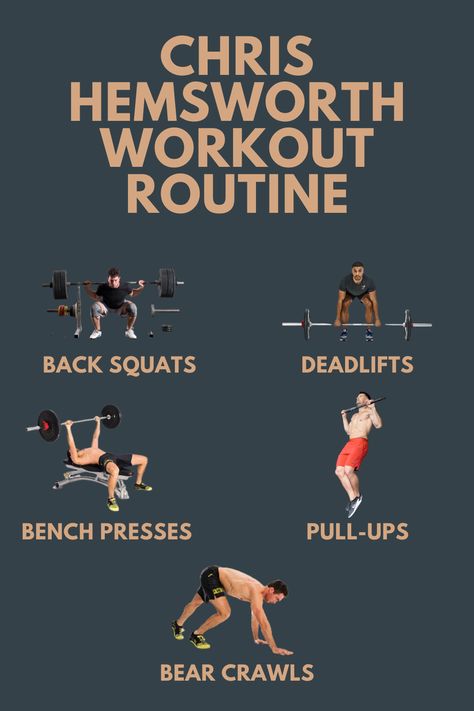 Chris Hemsworth workout routine Chris Alonso, Chris Hemsworth Workout, Bear Crawl, Celebrity Bodies, Back Squats, Gym Routine, Stubborn Fat, Bench Press, Chris Hemsworth