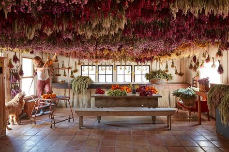 Designing With Dried Flowers - The Flowering Farmhouse Dried Flower Hanging, Hanging Installation, Drying Flowers, Fall Bulbs, Cozy Christmas Decor, Flower Room, Flower Panels, Flower Farmer, Bee On Flower