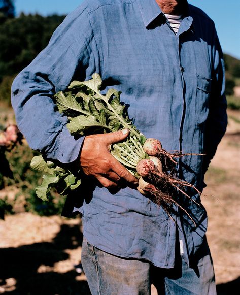 Farm Photography, Park Photography, Garden Photography, Lifestyle Photography, Food Styling, Art Direction, Photography Inspiration, Farmer, Art Style