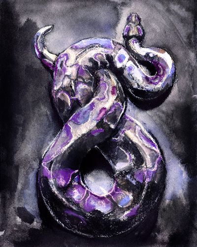 Purple Python - snake art - mixed media by Crystal Smith www.heycrystalsmith.com #snake #art #painting Art Snake, Snake Painting, Colorful Snakes, Snake Drawing, Purple Snake, Snake Art, Beautiful Snakes, Painting Nature, Painting Media