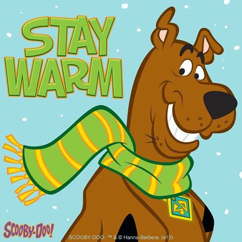 “There's some crazy weather going on outside! Don't forget a warm scarf. #Scooby #ScoobyDoo #Warm #Snow #Rain #Weather” Winter Quote, Eeyore Pictures, Quotes Winter, Scooby Doo Pictures, Scooby Doo Mystery Inc, Scooby Doo Images, Scooby Doo Mystery Incorporated, Shaggy And Scooby, Scrappy Doo