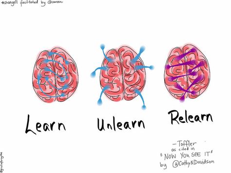 When 'Brain Science' Is A Tool For Credibility Cognitive Psychology, Brain Science, Personalized Learning, Therapy Activities, Neuroscience, Coping Skills, Art Therapy, The Brain, Reading Writing