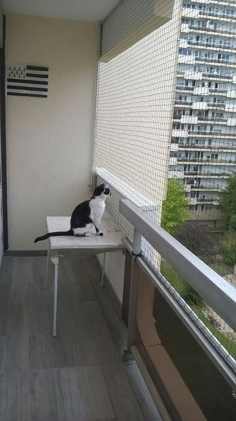 Secure and Protective Balcony Ideas with Pet Fencing - Unique Balcony & Garden Decoration and Easy DIY Ideas Balcony Dog Potty, Balcony Net, Cat Proof Balcony, Cat Balcony, Outdoor Balcony Ideas, Balcony Swing, Fence Balcony, Outdoor Pet Enclosure, Window Fan