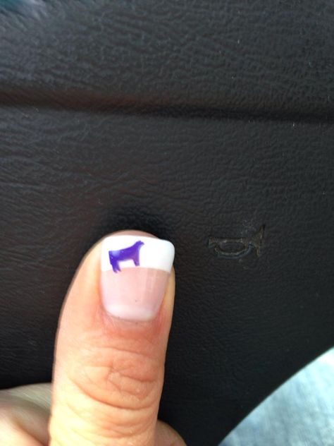 Livestock detail on fingernails! Showing Livestock Hairstyles, Ffa Nails, Showing Pigs, Showing Cattle, Livestock Showing, Cow Nails, Show Cattle, Showing Livestock, Nails 2020