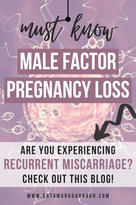 Male Fertility Diet, Recurrent Pregnancy Loss, Pregnancy Loss Awareness, Egg Retrieval, Sperm Health, Fertility Help, Night Jar, Fertility Testing, Fertility Awareness