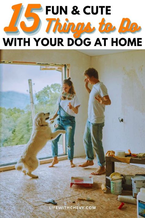 things to do with your dog What To Do When Moving, Dog Essentials Products, Cats And Humans, Cbd Dog Treats, Dog At Home, Relaxed Dog, Parent Tips, Dog Movies, Tail Wagging