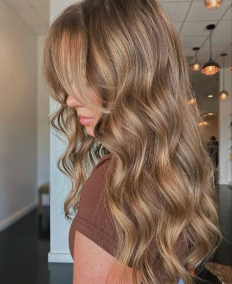 Neutral Dark Blonde Hair, Biscuit Blonde Hair, Light Brown Hair Inspiration, Biscuit Hair, Best Fall Hair Colors, Bold Balayage, Light Brunette Hair, Brown Hair Inspiration, Rambut Brunette