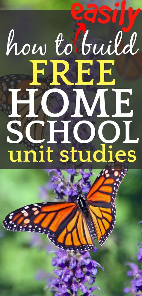 Homeschool Unit Studies, Science Unit Studies, Secular Homeschool, Kindergarten Units, Unit Studies Homeschool, Homeschool Middle School, Free Homeschool Curriculum, Homeschool Elementary, Homeschool Education