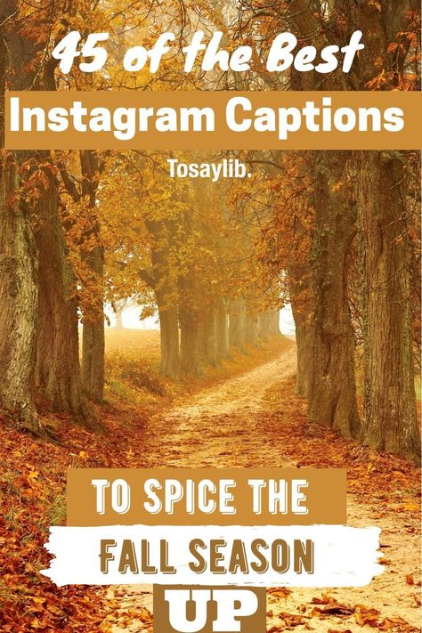 Summer is the most popular season for photos, but fall is definitely the most beautiful time for photos; all of those fall photos on Instagram have good captions.    If you are looking for fall Instagram captions, you are not alone. You need unique, sharp captions for fall to give your photo of fall some meaning and gravitas.    #Fallinstagramcaptions #instagramcaptionsaboutFall Falls Caption For Instagram, Fall Photo Captions, Fall Selfie Captions, Autumn Insta Captions, Instagram Captions Fall Season, Adventure Captions, Caption For Boys, Autumn Instagram, Good Instagram Captions