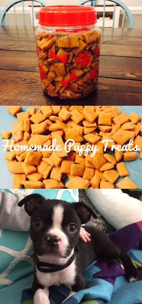 Easy to make Homemade Puppy Treats #puppytreats #puppylove #dogtreats #dogtraining #bostonterriers #bostonterrierpuppy Homemade Puppy Treats, Puppy Treats Homemade, Puppy Training Treats, Pet Treats Recipes, Healthy Dog Treats Homemade, Dog Treats Homemade Recipes, Dog Training Treats, Dog Business, Easy Meal Ideas