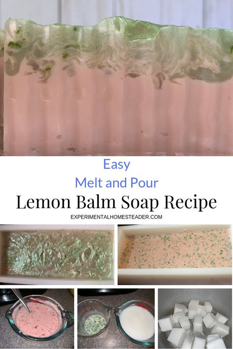 This easy melt and pour lemon balm soap recipe is a great way to use up some of that lemon balm you are growing. It's also an easy recipe for beginners. #lemonbalmsoaprecipe #lemonbalmsoap #lemonbalmuses #soapmaking #soaprecipes Lemon Basil Melt And Pour Soap Recipe, Lemon Balm Melt And Pour Soap, Lemon Balm Soap Recipe, Lemon Balm Soap, Vanilla Soap Recipe, Organic Soap Recipe, Lemon Balm Uses, Spa Treats, Goat Milk Soap Recipe