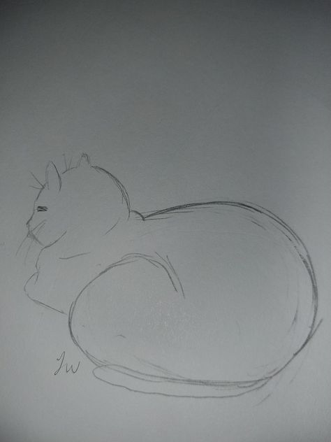 Cat Loaf Drawing, Cat Loaf, Bread Loaf, Kitten Cat, Cat Drawing, Cats And Kittens, Kittens, Kitty, Bread