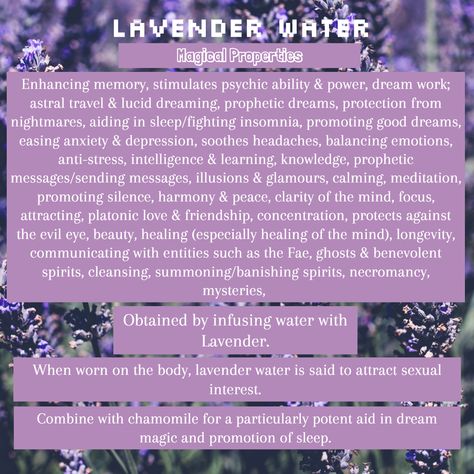 Lavender Water Magical Uses & Properties Lavender Properties Magic, Lavender Properties Witchcraft, Lavender Magical Uses, Magical Water Properties, Magical Properties Of Lavender, Lavender Magical Properties, Lavender Witchcraft Uses, Lavender Properties, Water Magick