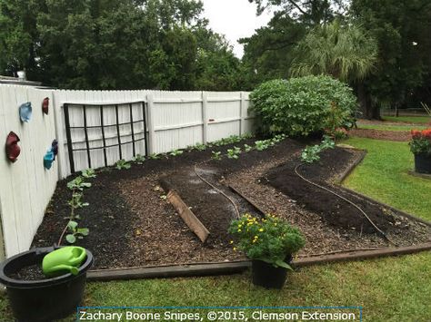 Mounded raised beds without sides are easily formed with pathways between rows for access. Growing Produce, Forest Hills Gardens, Above Ground Garden, Oxford House, Garden Bed Ideas, Initial Design, Forest Hills, School Garden, Patio Landscaping