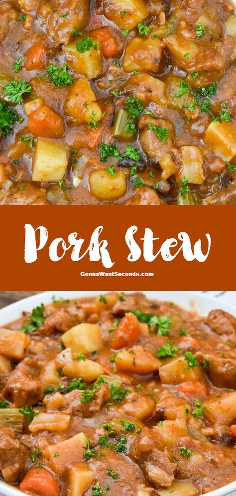 Pork Veggie Soup, Pork Stew In Crockpot, Asian Pork Stew Recipes, Pork For Stew Recipes, Stewing Pork Recipes, Stew With Pork Meat, Ham Stew Recipes, Crock Pot Pork Stew, Stewed Pork Recipes