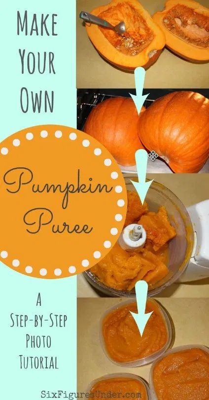 Make Pumpkin Puree, Puree Pumpkin, Big Pumpkin, How To Make Pumpkin, Never Go Back, Best Pumpkin, Canned Pumpkin, Food Processor, Canning Recipes