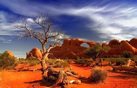 Great Victorian Desert Australian Desert, Australia Landscape, Australian Photography, Outback Australia, Desert Life, Moab Utah, Red Rocks, Utah National Parks, Arches National Park