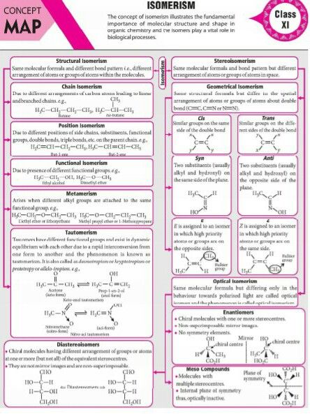 Isomerism Concept map Brain Maps, Brain Map, Organic Chemistry Reactions, Biochemistry Notes, Organic Chemistry Study, Concept Maps, Chemistry Study Guide, 11th Chemistry, Chemistry Basics