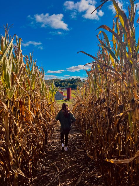 Corn Maze Fall, Halloween Corn Maze, Fall Carnival Aesthetic, Fall Date Ideas Aesthetic, Corn Maze Date, Fall Festival Aesthetic, Hayride Aesthetic, Indoor Fall Activities, Corn Maze Photoshoot