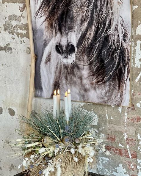 Boho Christmas, Youtube Video, Moose Art, Horses, Pool, Christmas, Animals, On Instagram, Quick Saves