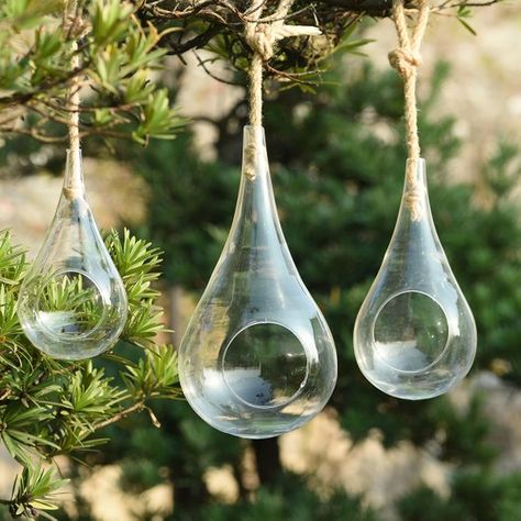 3pcs/set hanging teardrop terrariums held by rope, large plant terrarium, glass planters indoor, decorate bedroom window, outdoor ornaments Succulent Wedding Centerpieces, Air Garden, Hanging Glass Terrarium, Hanging Terrarium, Terrarium Containers, Succulent Centerpieces, Air Plant Terrarium, Glass Planter, Succulents Indoor