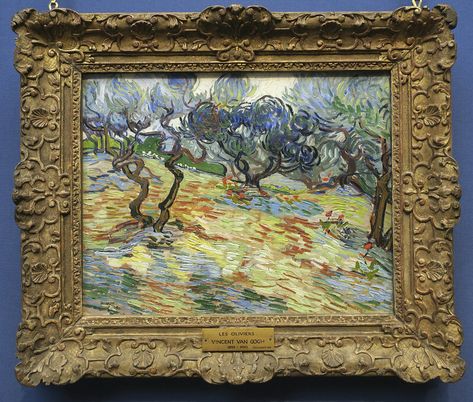 Van Gogh | National Gallery of Scotland | Martin Beek | Flickr Olive Orchard, Artist Van Gogh, Google Art Project, Vincent Van Gogh Paintings, Arte Van Gogh, Van Gogh Museum, Van Gogh Paintings, Van Gogh Art, Post Impressionism