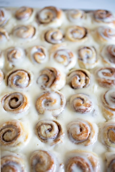 Sarah Kieffer, Vanilla Bean Blog, Mini Cinnamon Rolls, Sweet Bread Rolls, Cinnamon Roll Recipe Homemade, Baking Buns, Baked Rolls, Sweet Dough, Sweet Rolls