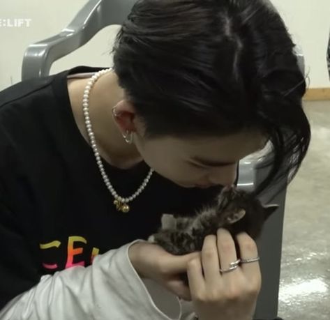 niki enhypen with kitten Enhypen Official, Ideal Boyfriend, Goofy Pictures, Take My Money, V Live, Iconic Photos, Chain Earrings, Boyfriend Pictures, Cute Icons