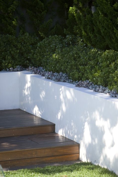 White Concrete Retaining Wall, Clean White Walls, Peter Fudge, Cleaning White Walls, Feed The Soul, Modern Gardens, Garden 2023, Concrete Retaining Walls, Seaside Garden