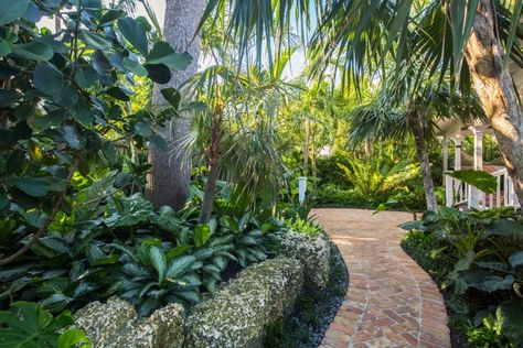 Key West’s Secret Garden: A Modern Landscape for an Author’s Victorian Cottage Small Tropical Gardens, Florida Landscaping, Florida Gardening, Backyard Garden Landscape, Small Backyard Gardens, Victorian Cottage, Modern Landscape, Landscape Design Plans, Contemporary Garden