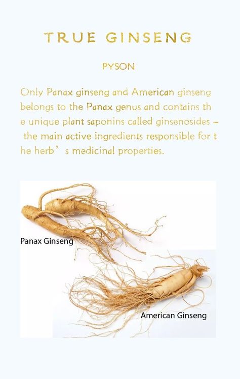 Panax Ginseng Benefits, Red Ginseng Benefits, Ginseng Benefits, Herbs Benefits, Ginseng Plant, Herb Medicine, American Ginseng, Anti Oxidant Foods, Ginseng Extract