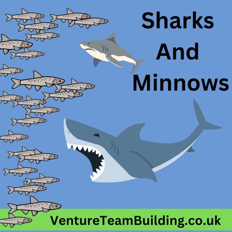 How to play Sharks and Minnows with 7 variations to change it up! Sharks And Minnows Game, Shark Games For Kids, Team Chants, Shark Activities, Shark Games, Throwing Games, Game Setup, Sloth Birthday, Water Games