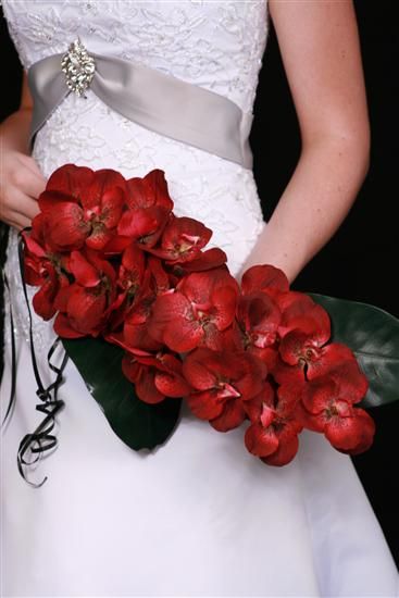 Premium Flowers: Wedding Themes: Orchid Orchid Wedding Bouquets, Orchid Centerpieces Wedding, Orchid Bouquet Wedding, Red Orchid, Red And White Weddings, Red Orchids, Red Bouquet Wedding, Orchid Bouquet, Red Bouquet