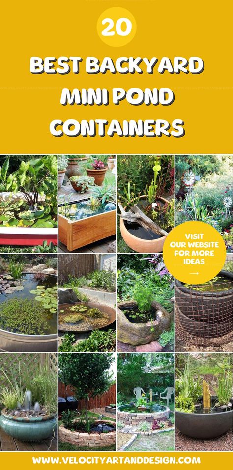 DIY mini backyard water pond containers create serene garden features, enhancing outdoor spaces with the soothing sounds and sights of water. Mini Backyard, Mini Pond, Creative Backyard, Serene Garden, Water Pond, Garden Features, Soothing Sounds, Best Diy, Fun Diys