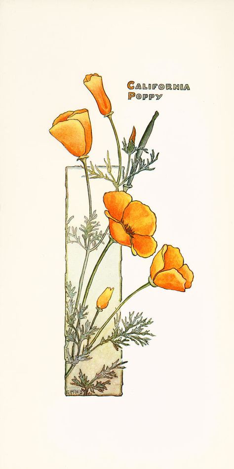 California Poppy Art, Fleurs Art Nouveau, Arte Art Deco, Huntington Library, Poppy Drawing, California Poppies, Beautiful California, Poppies Tattoo, Library Art