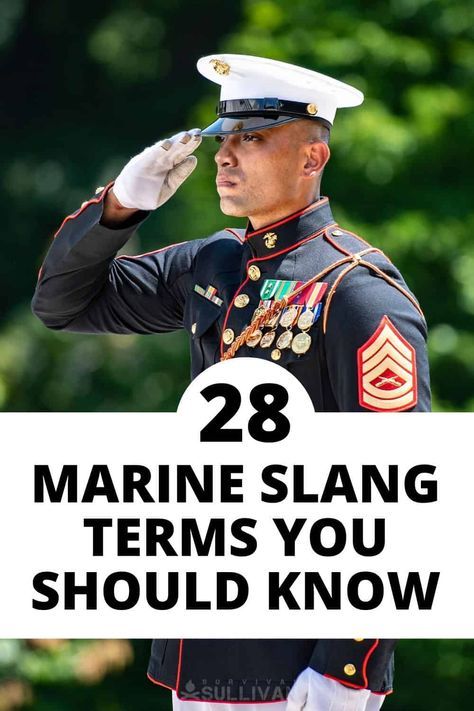 Marines have an especially colorful lexicon of lingo and jargon, even by the standards of other military branches. Learn 28 terms here. #survival #tactical #army #navy Army Nurse Corps, Us Marine Raiders, Army Navy Game, Navy Enlisted Ranks, Us Marines Uniform, Usmc Bulldog, Marine Corps Uniforms, Usmc Girlfriend, Famous Marines