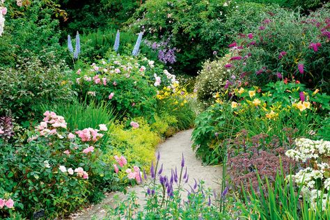 All Year Round Garden Borders, Sunny Cottage Garden, Shrub Border Ideas Uk, Year Round Interest Garden Plan, All Year Round Garden, Garden Shrubs Border, All Year Round Colour Garden Uk, English Garden Shrubs, South Facing Garden Ideas Uk