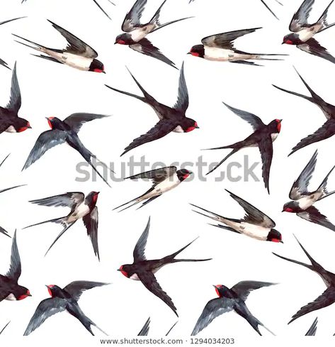 Swallow Birds, Brochure Design Inspiration, Pattern Wall, Swallows, Banner Printing, Watercolor Pattern, Wall Patterns, Image Photography, Vector Pattern