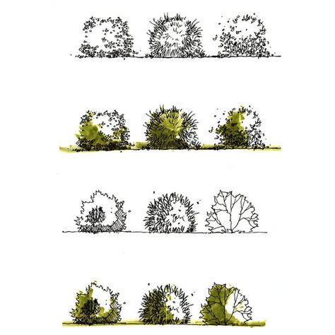 sketching tutorial course. plants and trees . Rendering Tutorial .#architecture##architettura#arquitectura#建筑#architektura#die… Trees Rendering, Rendering Tutorial, Sketching Tutorial, Landscape Architecture Diagram, Plant Sketches, Landscape Design Drawings, Architecture Drawing Sketchbooks, Landscape Architecture Drawing, Tree Sketches